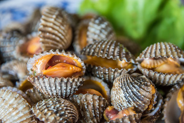 Steamed blanched cockles with Thai seafood dipping sauce and lettuce in the white dish.