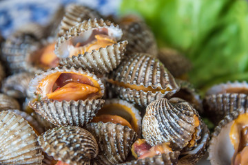 Steamed blanched cockles with Thai seafood dipping sauce and lettuce in the white dish.