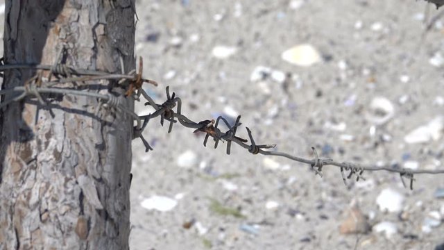 Broken barbed wire fence in the sand