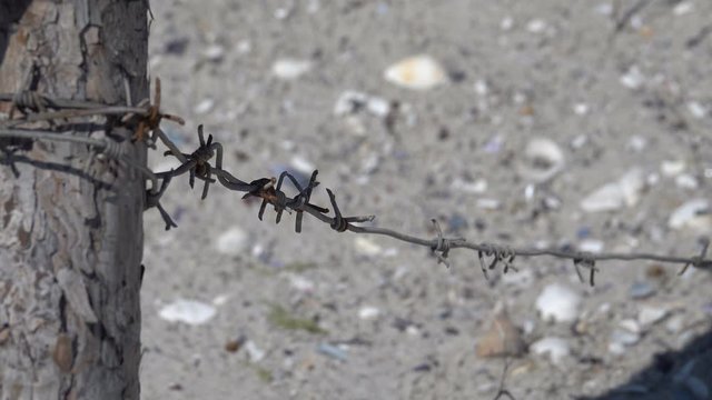 Broken barbed wire fence in the sand
