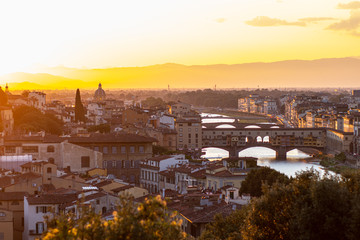 Fototapeta na wymiar panoramic view of the city of florence italy