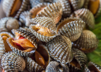 Steamed blanched cockles with Thai seafood dipping sauce and lettuce in the white dish.
