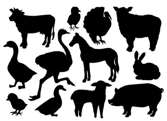 Farm animals livestock vector black silhouettes isolated on white. Cow, sheep, pig, horse, ostrich, duck, rabbit, goose, turkey bird and lamb, handdrawn icons or symbols