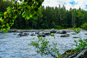 Finland, Kotka: Langinkoski rapid on the Kumi river in Kotka. Harsh northern nature, place where the Russian emperor caught trout fish.