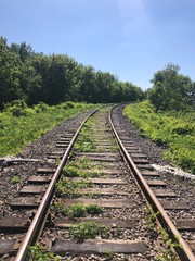 railway in forest
