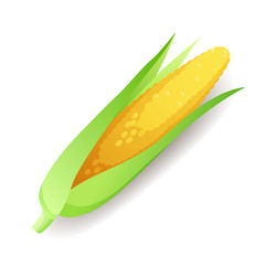 Fresh green cucumbers icon isolated on white background, farm organic healthy food, vegetable, vector illustration.