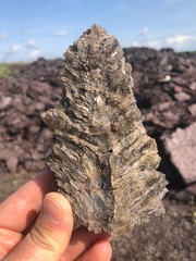 hand holding a mineral