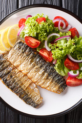 Grilled mackerel fillet with fresh salad and lemon close-up on a plate. Vertical top view