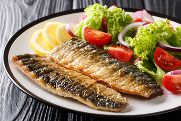 Diet healthy food grilled mackerel fillet with lemon and fresh vegetable salad close-up on a plate. horizontal