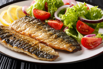 Spicy grilled mackerel fillet with lemon and fresh vegetable salad close-up on a plate. horizontal