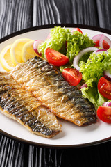 grilled mackerel fillet with a side dish of fresh vegetable salad close-up on a plate. vertical