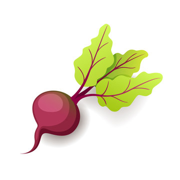 Sweet fresh beet with green leaf icon isolated, organic healthy food,  vegetable, vector illustration. Stock Vector | Adobe Stock
