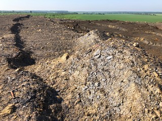 plowed field in spring
