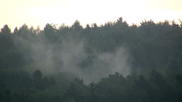 Ziehende Nebelschwaden (Zeitraffer)