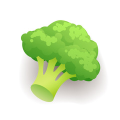 Green branch with red cherry tomatoes icon isolated, fresh vegetables, organic healthy food, vector illustration.