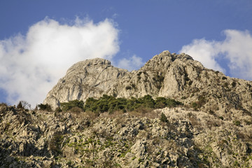 landscape near Kotor. Montenegro