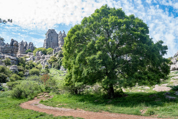 Torcal Natural Park in Antequera