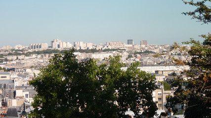 Some trees in montmartre with a large view of Paris