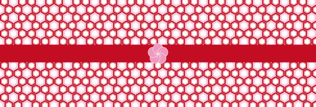 150 Best 亀甲文様 Images Stock Photos Vectors Adobe Stock