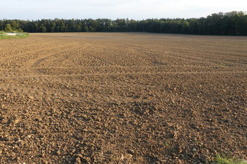 Wald - Landwirtschaft - Natur