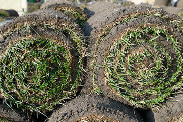 Grass rolls are piled in careless stacks, sod rolls