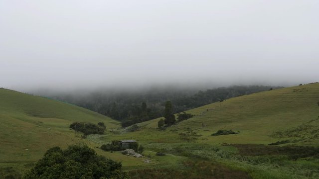 Wide angle view of the mist flowing over the meadows in Ooty, Tamilnadu, India