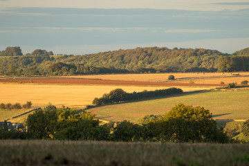 Obraz premium krajobraz z zielonym polem i niebieskim niebem