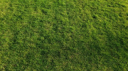 緑の芝生 © k_yu