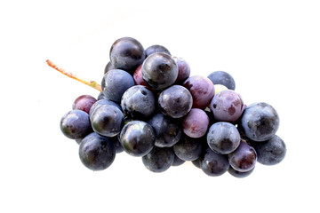 bunch of black grapes on white bacground