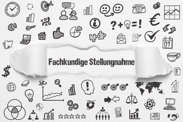 Fachkundige Stellungnahme