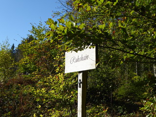 Ruhehain mitten im Wald