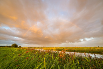 Beautiful rainbow and orange colored sky as a rain shower moves over the dutch countryside at lake Rottemeren, the Netherlands.
