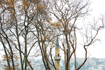 Fototapeta na wymiar autumn time trees with colorful leaves and minaret of mosque in in Istanbul, Turkey