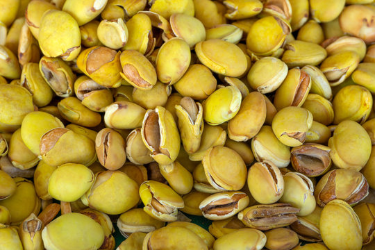 Lablab purpureus bean or Dolichos Beans background.