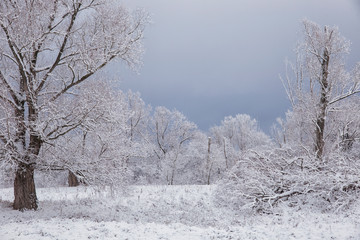 The first snow in December.