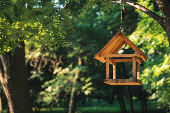 bird feeder wooden object for seeds hanging on a tree branch on unfocused green natural park background, animal care concept picture 