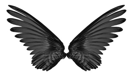 black wing of bird on black background
