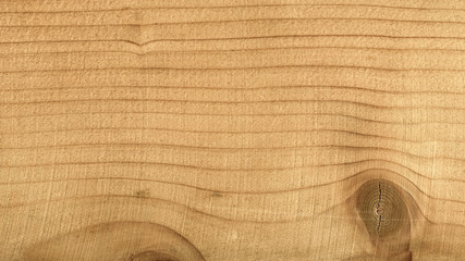 Wood surface. Texture swirl close up