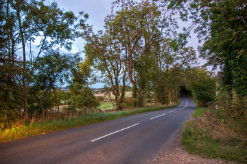 road in the forest
