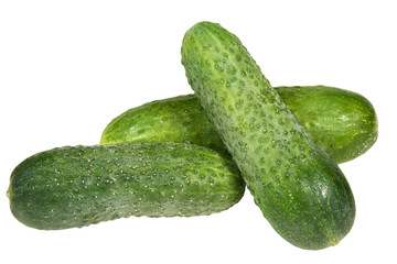  isolated on white background ripe vegetable.cucumber