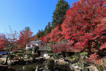 香嵐渓の紅葉