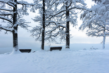 Winter am Kochelsee
