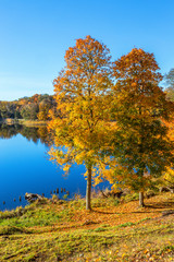 View of a lake in the fall