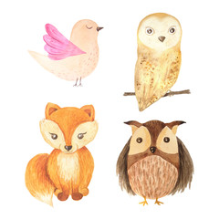 Watercolor forest animal children illustration