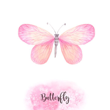 Watercolor pink butterflies set