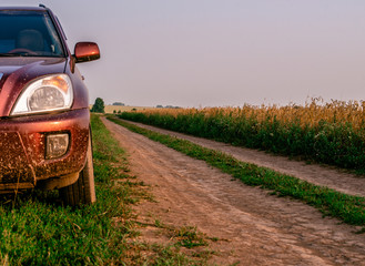 A red crossover stands on the side of a dirt road. Country road along the golden rye field.