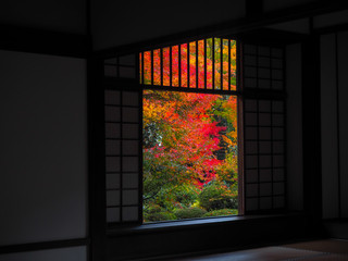 Window of Enlightenment with colorful trees in autumn at Genko-an Temple, Kyoto, Japan