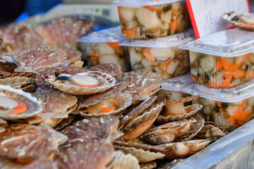 Fresh Scallops on a seafood market at Dieppe France