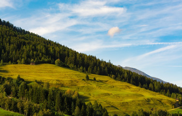 Obraz premium panorama łąk i lasów w górach austriackich Alp (Serfaus-Fiss-Ladis, austriacki Tyrol)