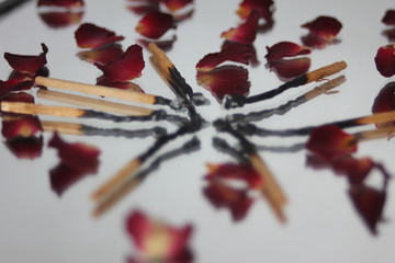 Burned Matches And Dried Roses